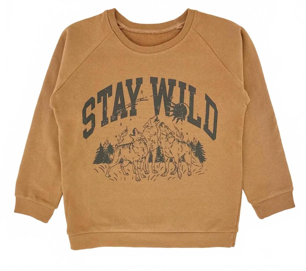 NEW TINY WHALES kids' long sleeve raglan top in stay wild